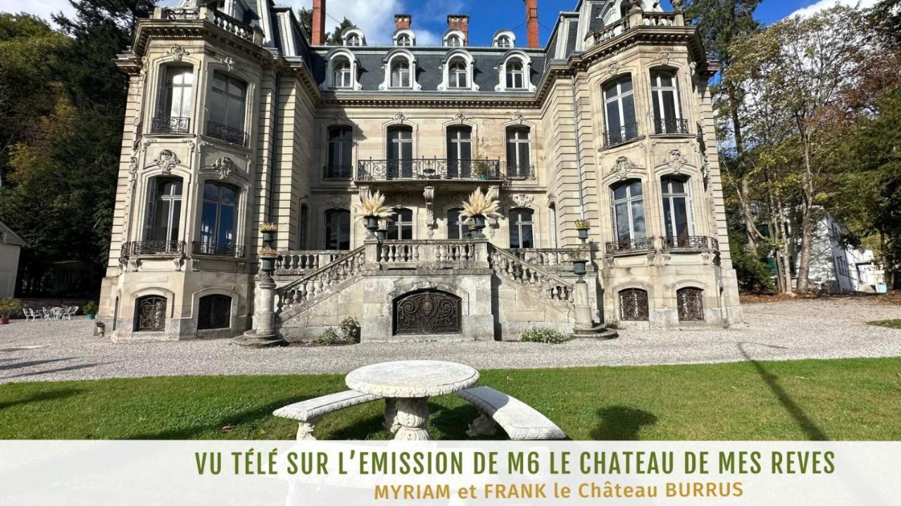 Au Coeur De La Verriere Du Chateau Burrus Sainte-Croix-aux-Mines Екстер'єр фото